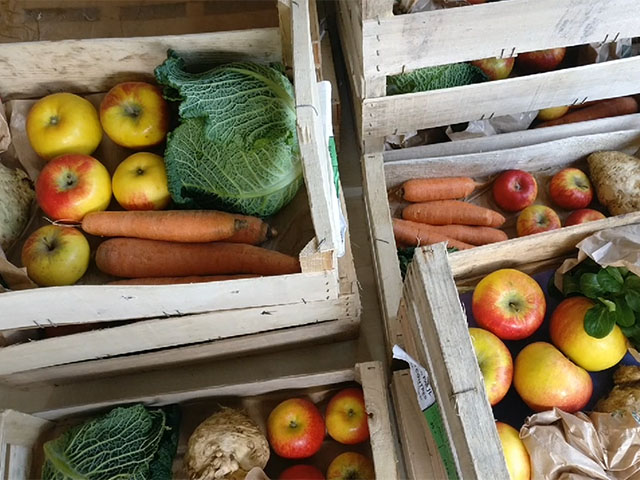 Des paniers de fruits et légumes bios proposés par l'association