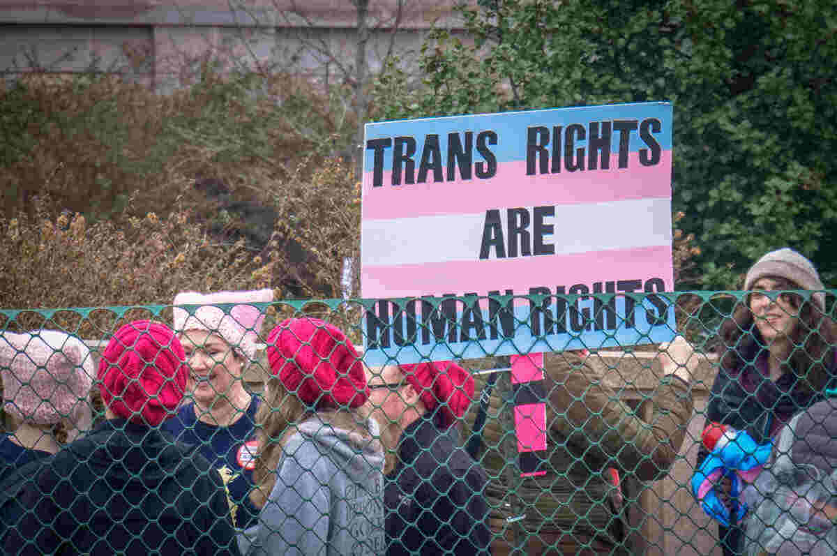 Pancarte "trans rights are human rights"